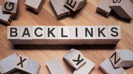 Backlink Costs Survey 2024 Fatrank's Pricing Insights